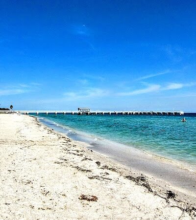Fort De Soto Dog Park / Beach - St. Petersburg, FL