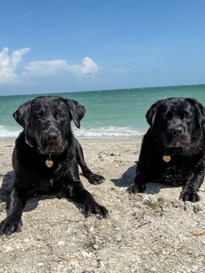 Fort De Soto Dog Park / Beach - St. Petersburg, FL
