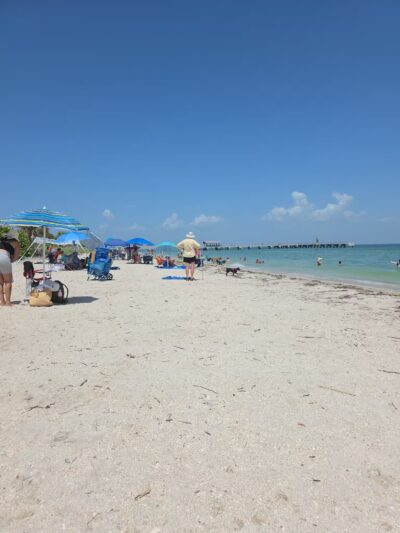 Fort De Soto Dog Park / Beach - St. Petersburg, FL