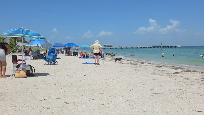 Fort De Soto Dog Park / Beach - St. Petersburg, FL