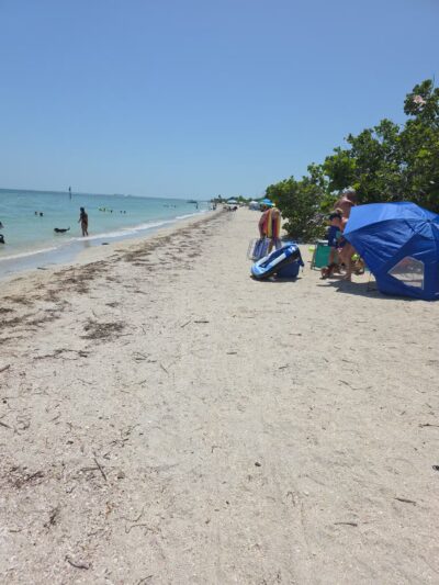 Fort De Soto Dog Park / Beach - St. Petersburg, FL