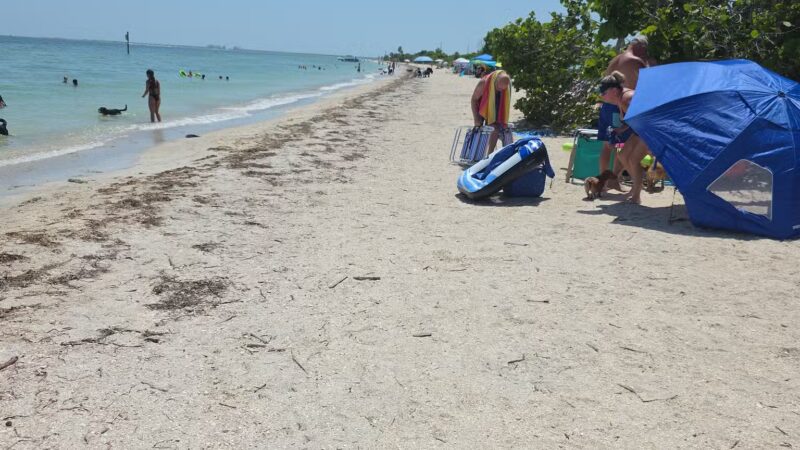 Fort De Soto Dog Park / Beach - St. Petersburg, FL