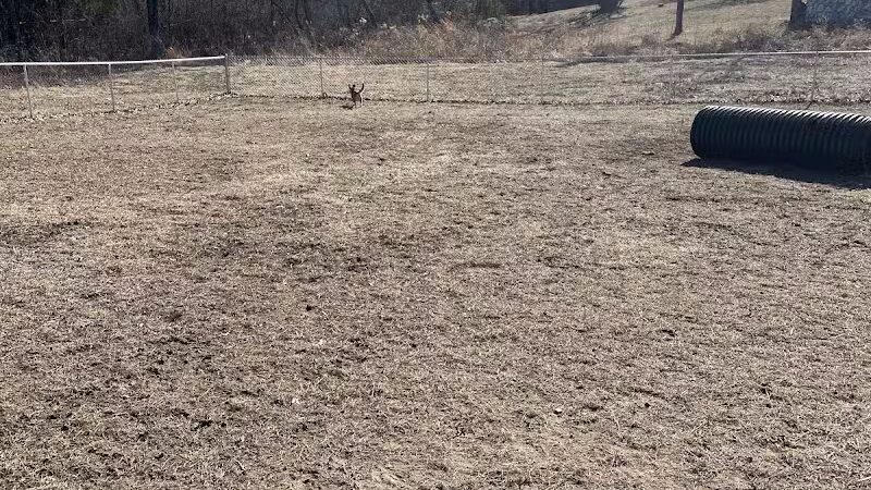 St. Robert Dog Park - St Robert, MO