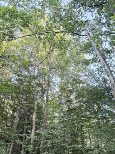 Linn Run State Park - Stahlstown, PA