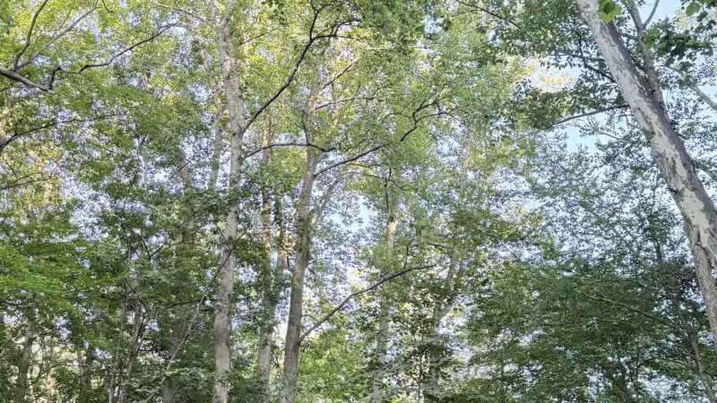 Linn Run State Park - Stahlstown, PA