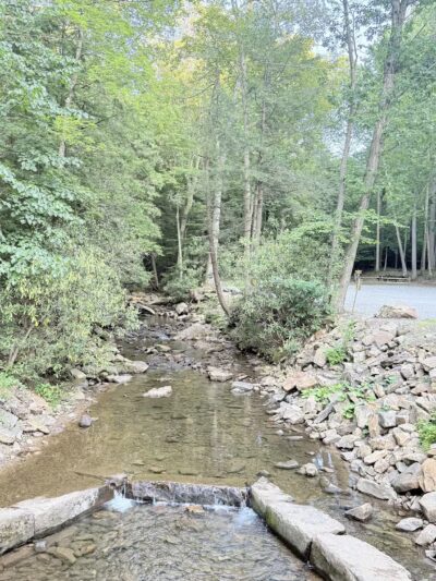 Linn Run State Park - Stahlstown, PA