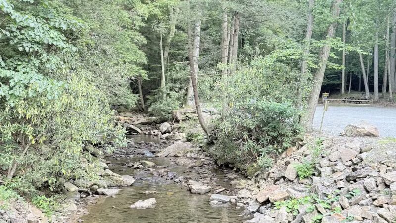 Linn Run State Park - Stahlstown, PA