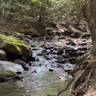 Linn Run State Park - Stahlstown, PA
