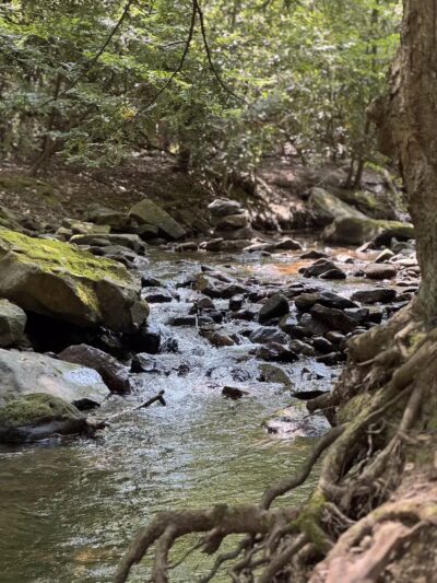 Linn Run State Park - Stahlstown, PA