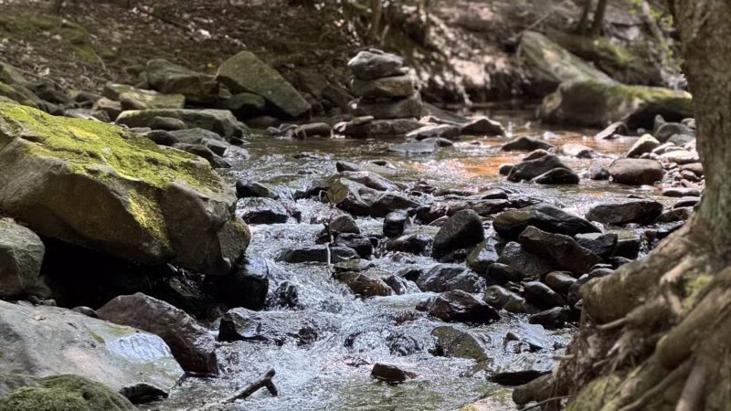 Linn Run State Park - Stahlstown, PA