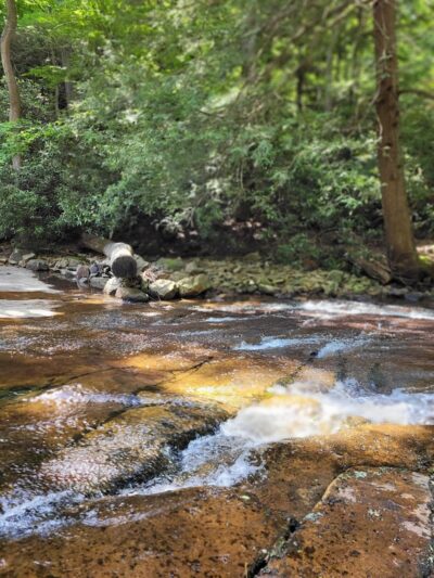 Linn Run State Park - Stahlstown, PA