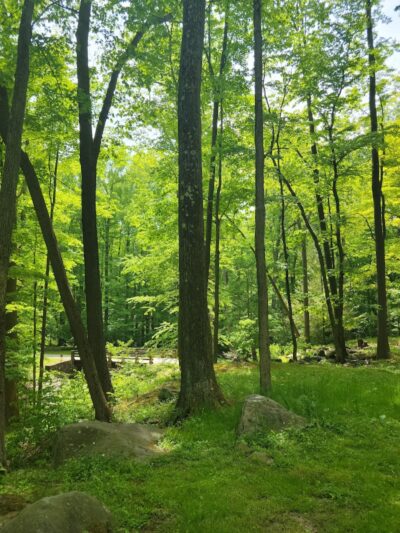 Linn Run State Park - Stahlstown, PA