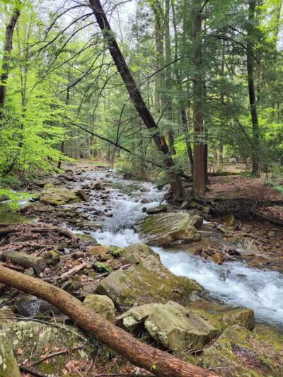 Linn Run State Park - Stahlstown, PA