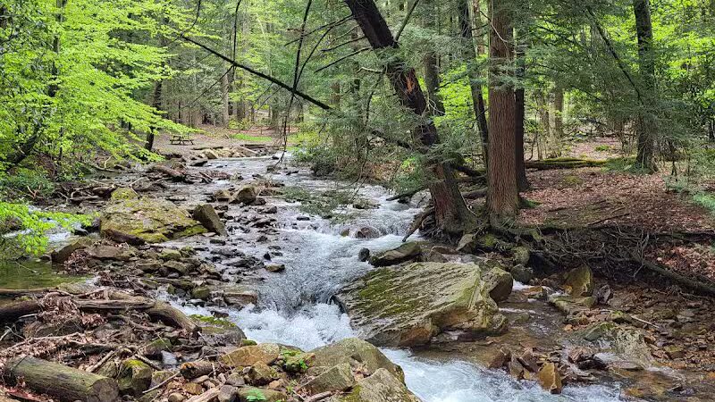 Linn Run State Park - Stahlstown, PA