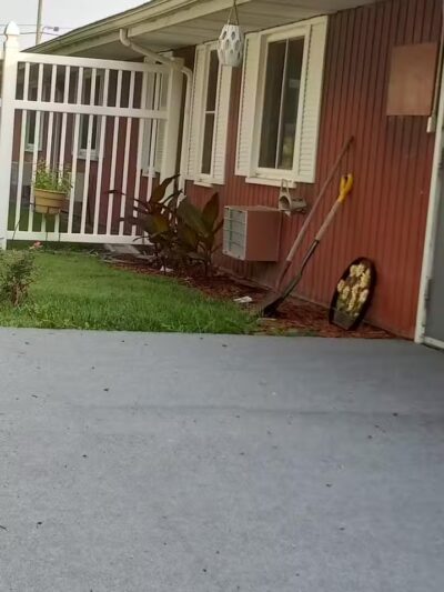 Kaufman City Park - State Center, IA