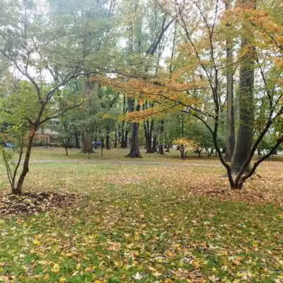 Northerleigh Park - Staten Island, NY