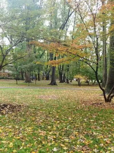 Northerleigh Park - Staten Island, NY