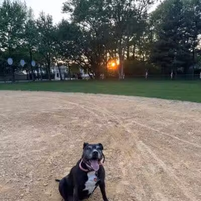 Northerleigh Park - Staten Island, NY