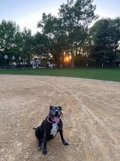 Northerleigh Park - Staten Island, NY