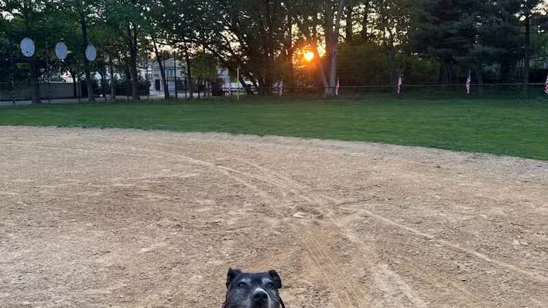 Northerleigh Park - Staten Island, NY