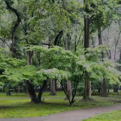 Northerleigh Park - Staten Island, NY