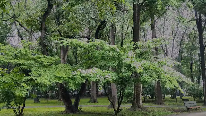 Northerleigh Park - Staten Island, NY