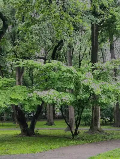 Northerleigh Park - Staten Island, NY
