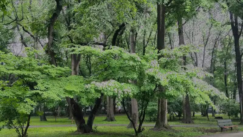 Northerleigh Park - Staten Island, NY