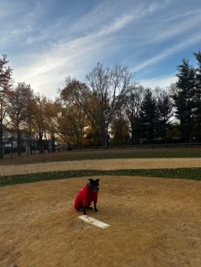 Northerleigh Park - Staten Island, NY