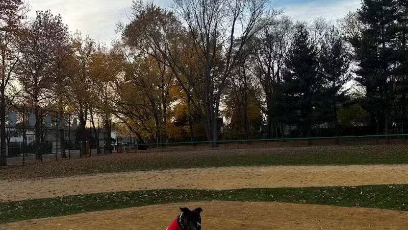 Northerleigh Park - Staten Island, NY