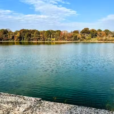 Silver Lake Dog Run - Staten Island, NY
