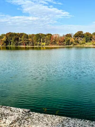 Silver Lake Dog Run - Staten Island, NY
