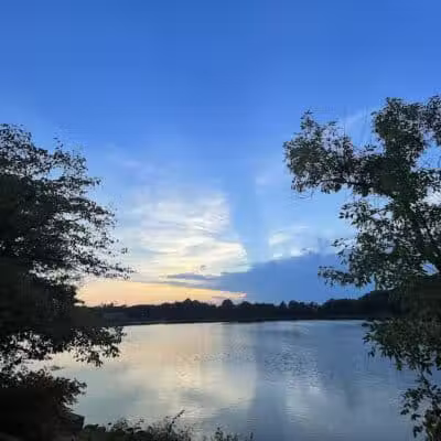 Silver Lake Dog Run - Staten Island, NY