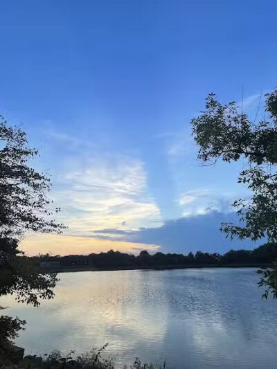 Silver Lake Dog Run - Staten Island, NY