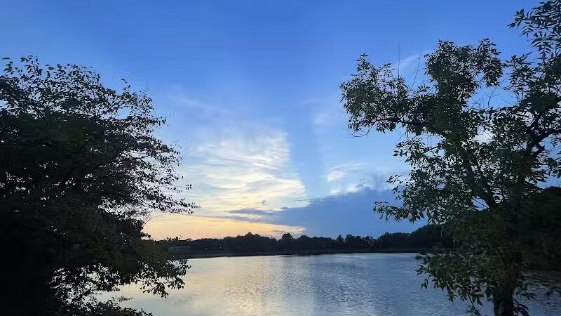 Silver Lake Dog Run - Staten Island, NY