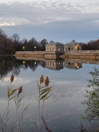 Silver Lake Dog Run - Staten Island, NY