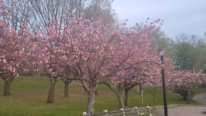 Silver Lake Dog Run - Staten Island, NY