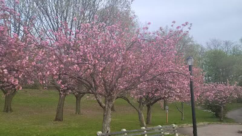 Silver Lake Dog Run - Staten Island, NY