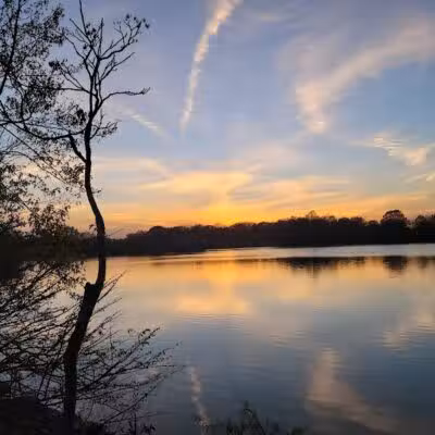 Silver Lake Dog Run - Staten Island, NY