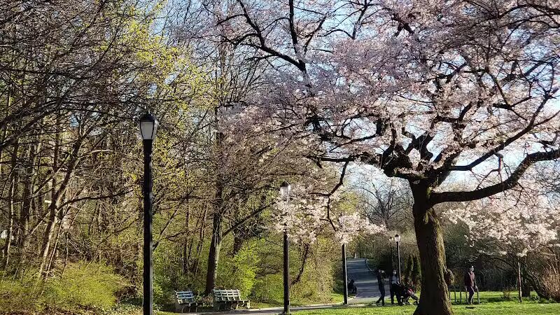 Silver Lake Dog Run - Staten Island, NY