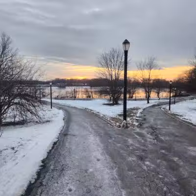 Silver Lake Dog Run - Staten Island, NY