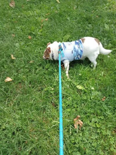 Westerleigh Park - Staten Island, NY