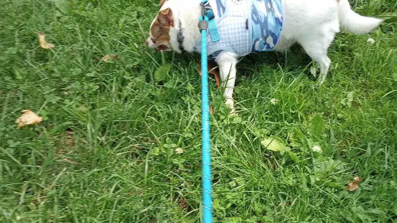 Westerleigh Park - Staten Island, NY