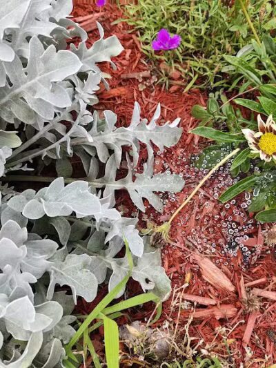 Westerleigh Park - Staten Island, NY