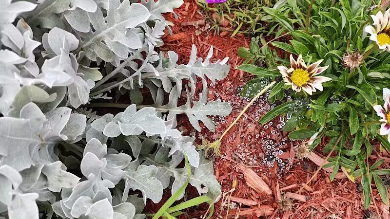 Westerleigh Park - Staten Island, NY