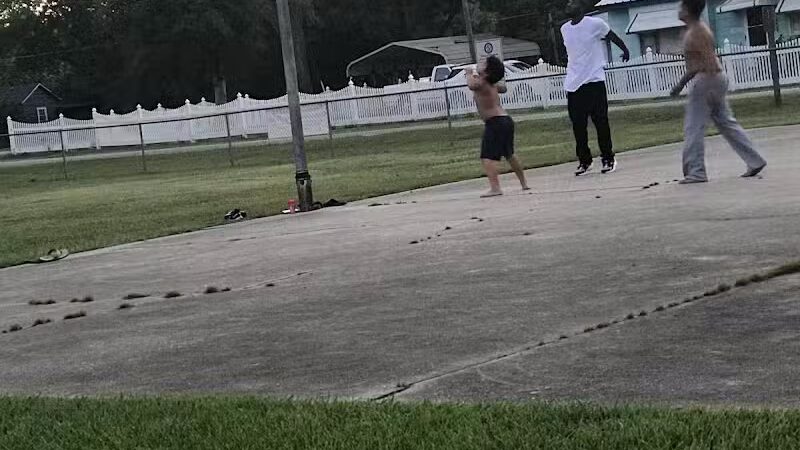 Ernest Freeman Park - Stedman, NC