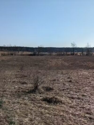 Speckmann Dog Park - Stevens Point, WI