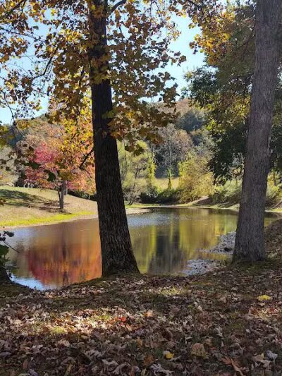 Overlook Trail - Stiltner, WV