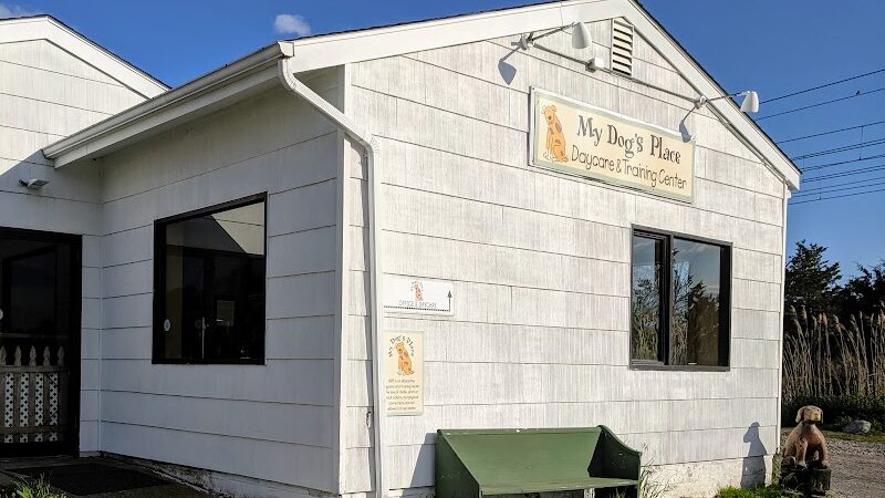 My Dog's Place - Stonington, CT