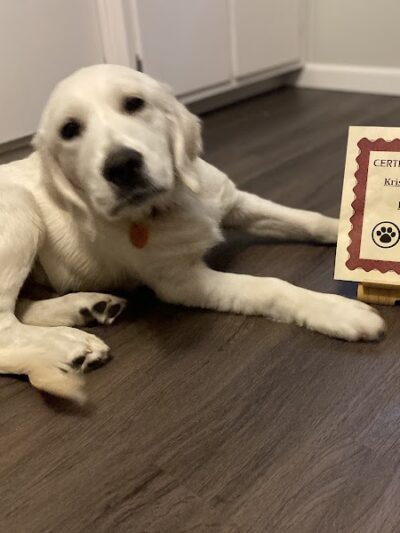 My Dog's Place - Stonington, CT